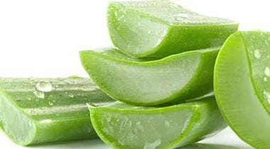 aloe-vera