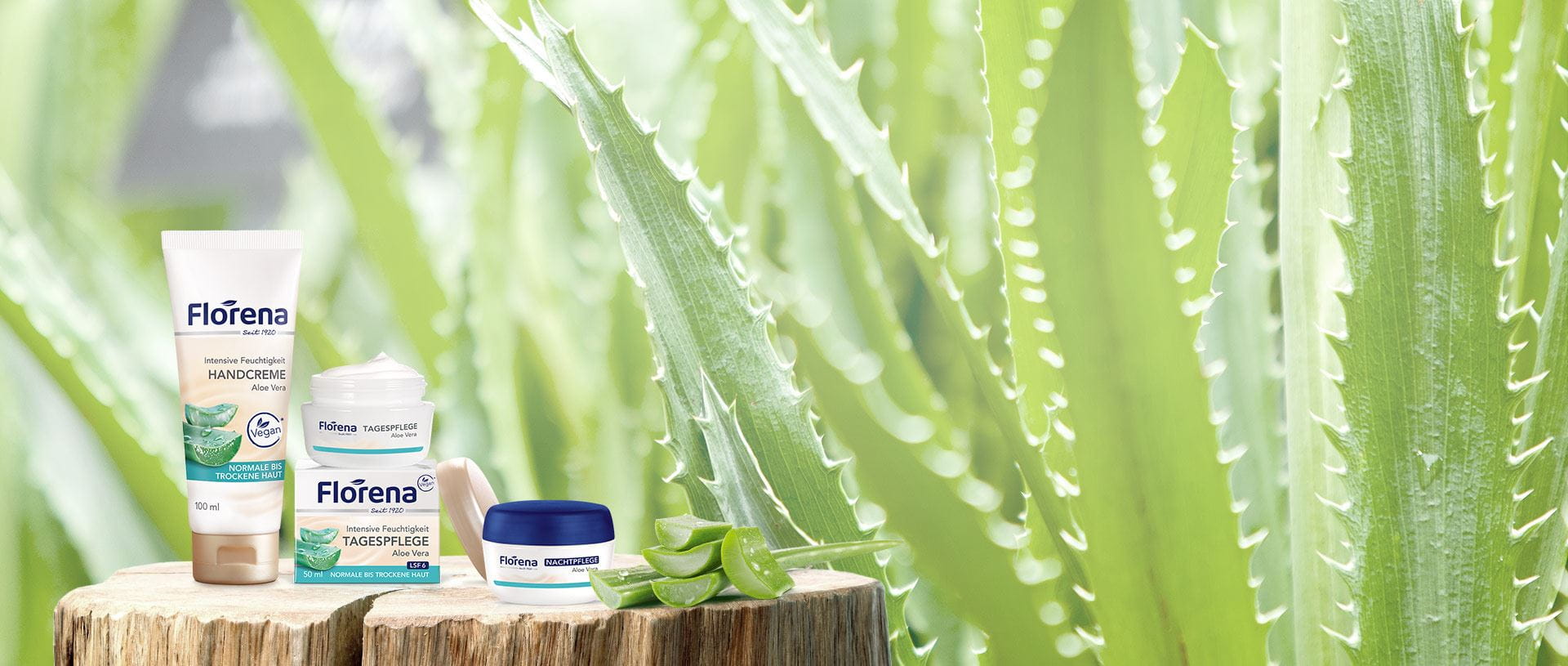 Headerbilder Pflegeserien Aloe Vera