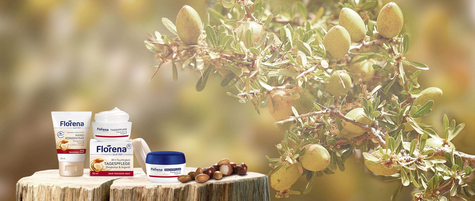 Headerbilder Pflegeserien Shea Butter & Argan Öl