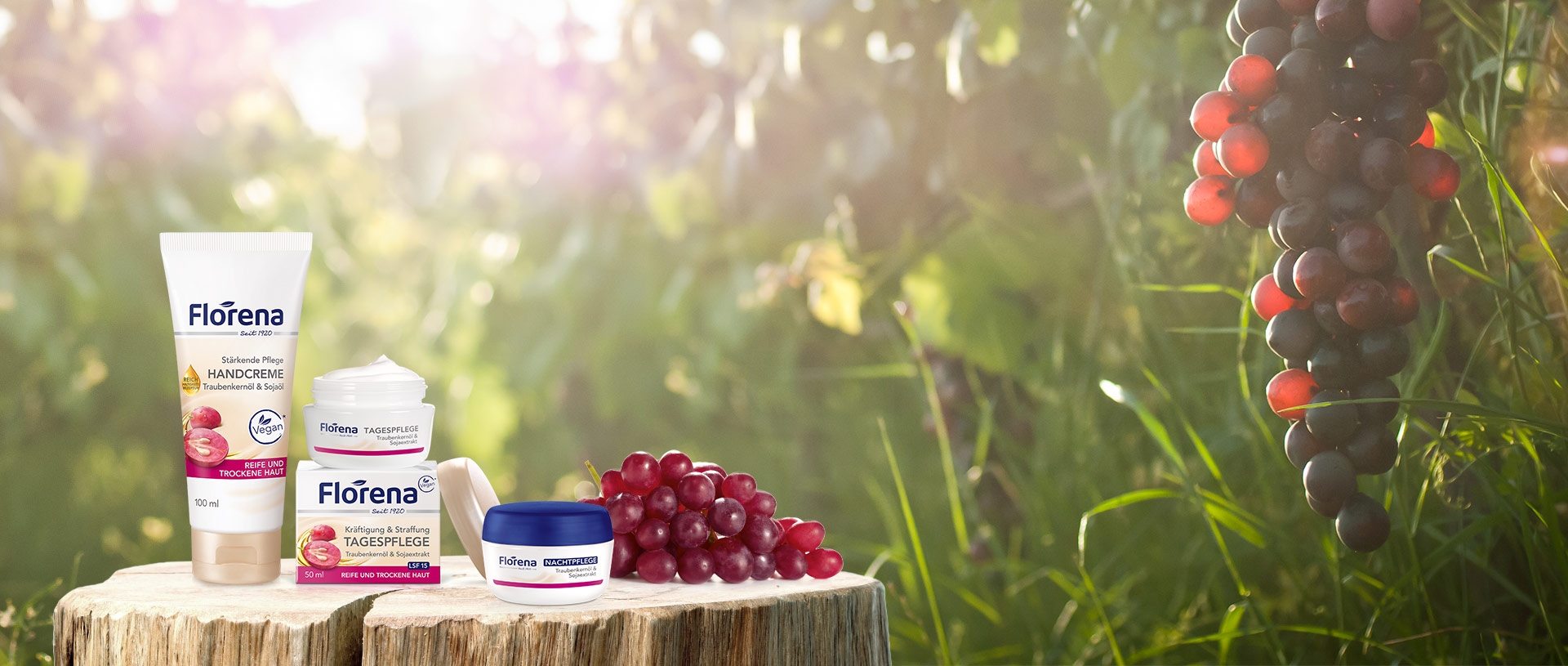 Headerbilder Pflegeserien Traubenkernöl & Sojaöl