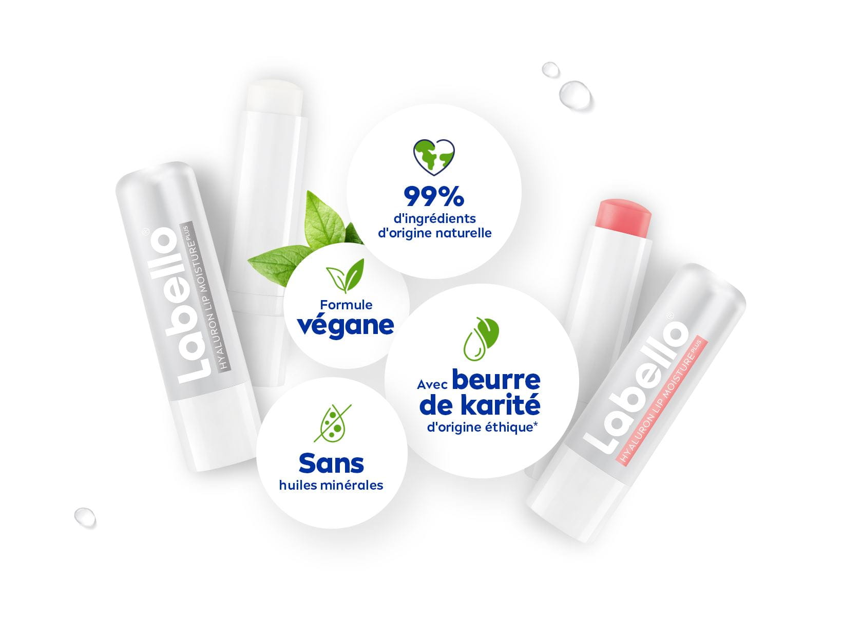 Labello HYALURON LIP MOISTUREPLUS und Labello HYALURON LIP MOISTURE PLUS ROSÉ