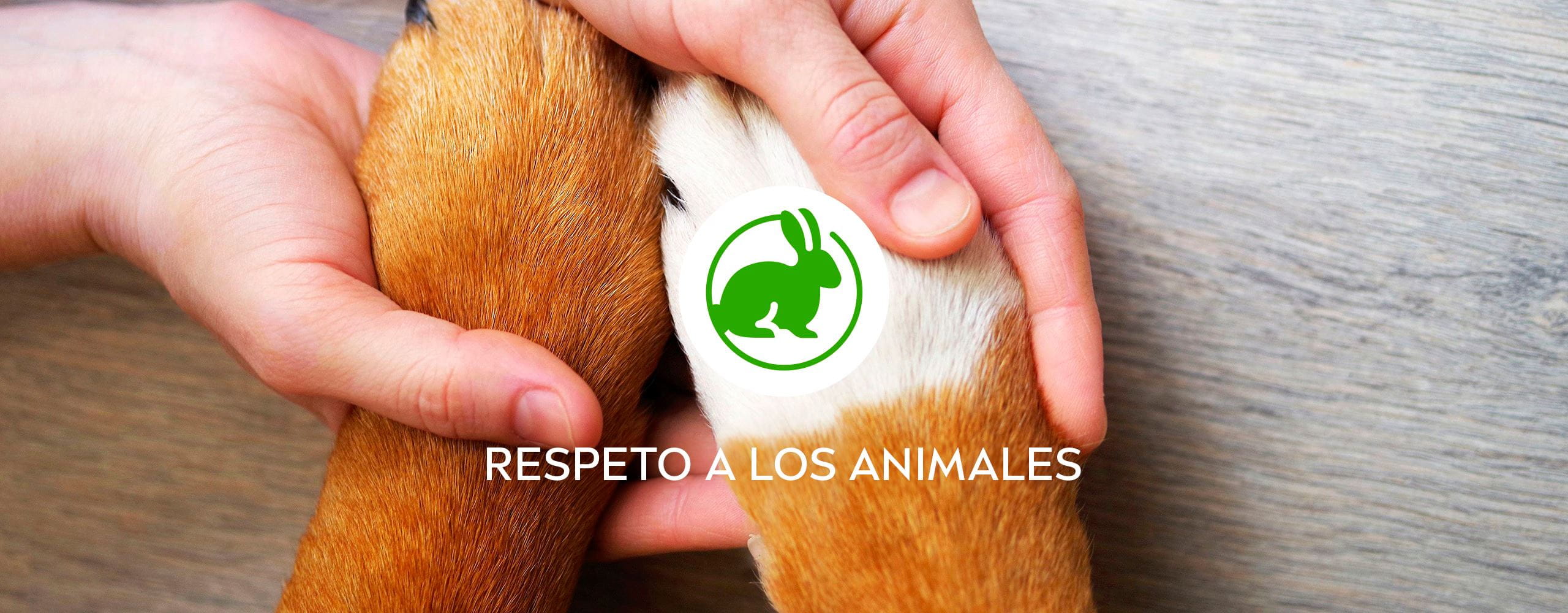 RESPETO A LOS ANIMALES