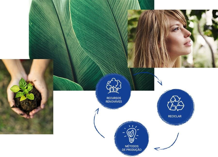 ciclo ambiental