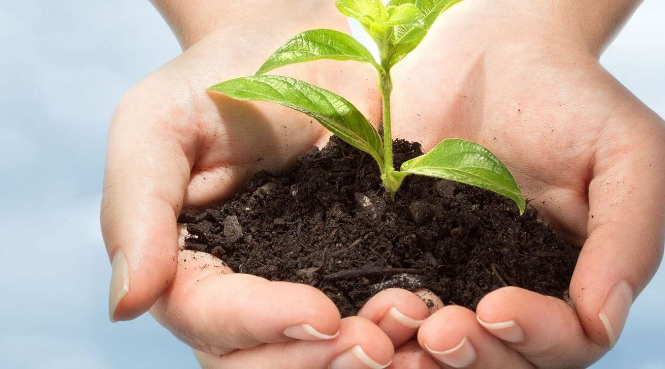 NATUURLIJKE HUIDVERZORGING VOOR EEN STRALENDE HUID