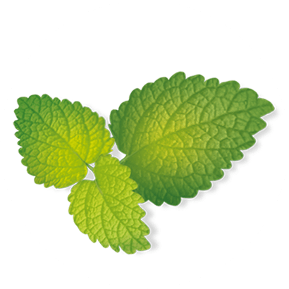 Citrus Melissa Extract