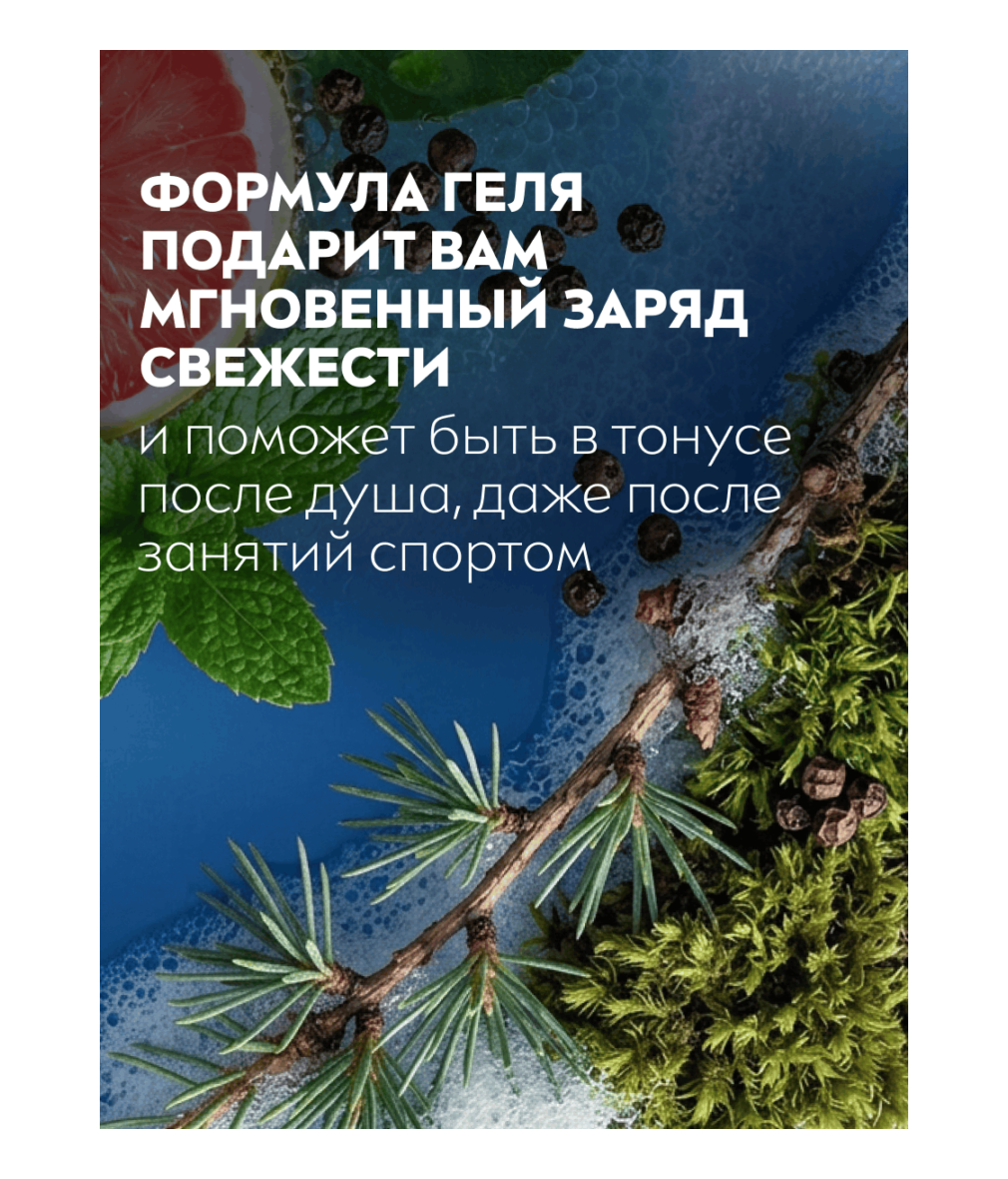 ru-93397-81