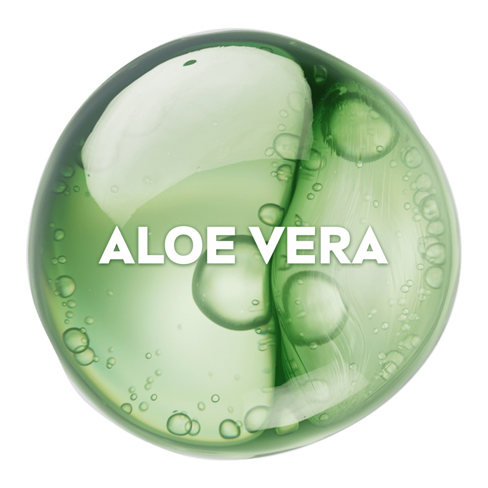 Une sphère verte représentant l’Aloe Vera.