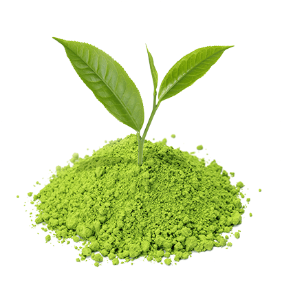 Bio Groene thee extract