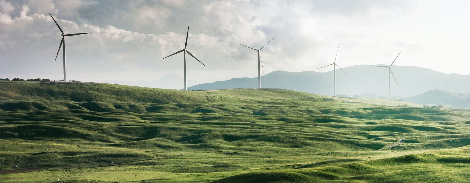 For a climate caring future