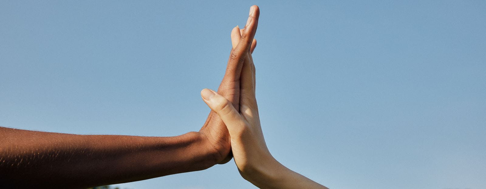 Strijden tegen de klimaatverandering