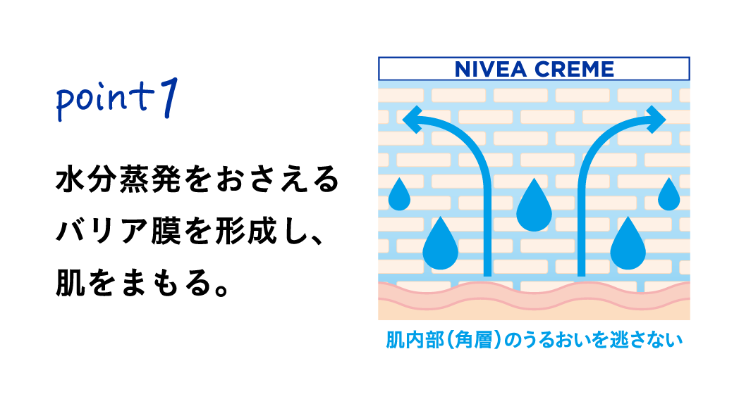 Point1
水分蒸発をおさえるバリア膜を形成し、肌をまもる。
