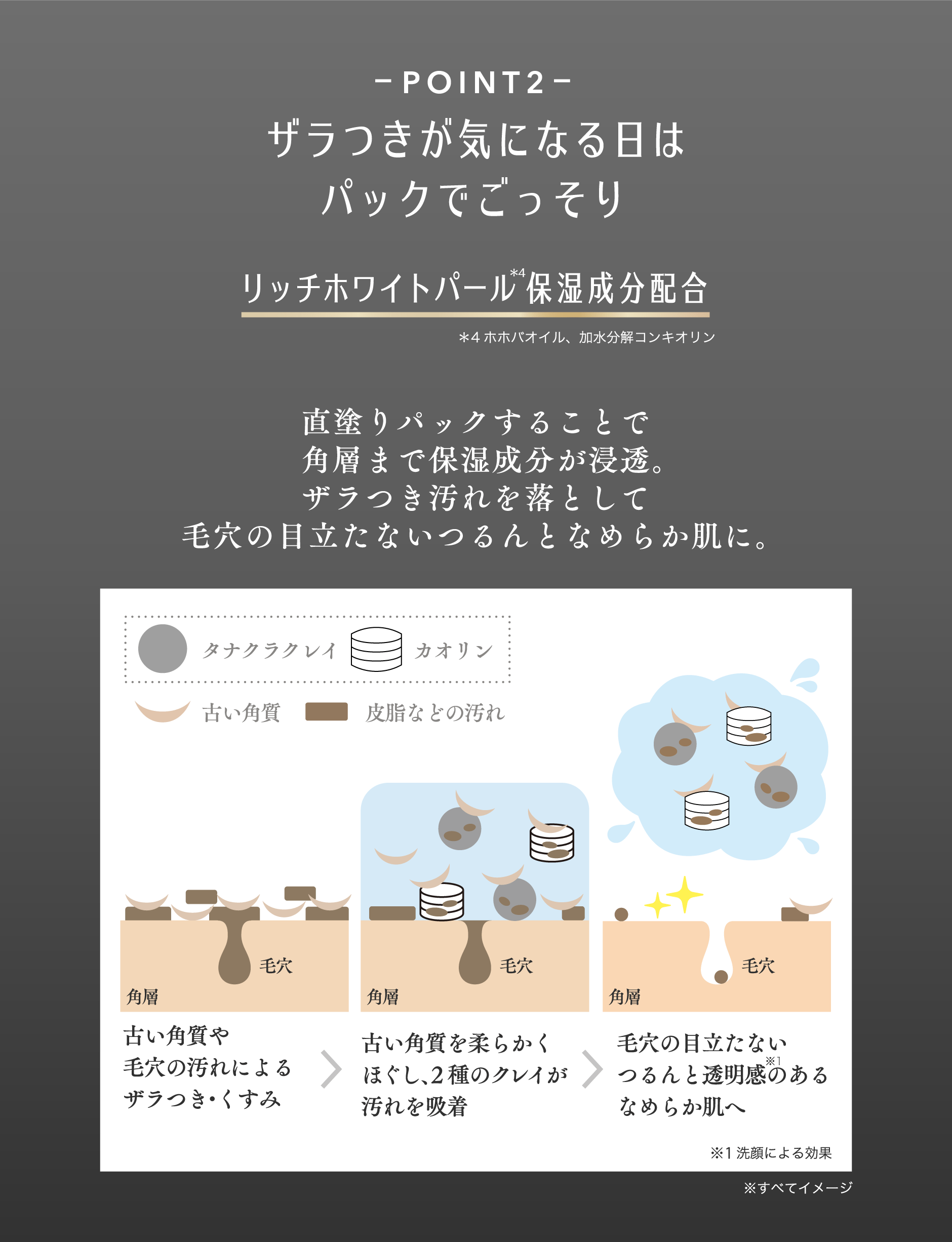 POINT 2） ​  ザラつきが気になる日はパックでごっそり​   リッチホワイトパール保湿成分配合 ※4 ホホバオイル、加水分解コンキオリン ​  （説明文）​   直塗りパックすることで角層まで保湿成分が浸透。 ザラつき汚れを落として毛穴の目立たないつるんとなめらか肌に。 （パック洗浄プロセスの図） ​  （図の凡例） ​  タナクラクレイ カオリン 古い角質 皮脂などの汚れ ​  （ステップ1）​   角層 毛穴 古い角質や毛穴の汚れによるザラつき・くすみ ​  （ステップ2） 角層 毛穴 古い角質を柔らかくほぐし、2種のクレイが汚れを吸着​   （ステップ3） 角層 毛穴 毛穴の目立たないつるんと透明感のあるなめらか肌へ※1 ​  （注釈） ※1 洗顔による効果 ※すべてイメージ​