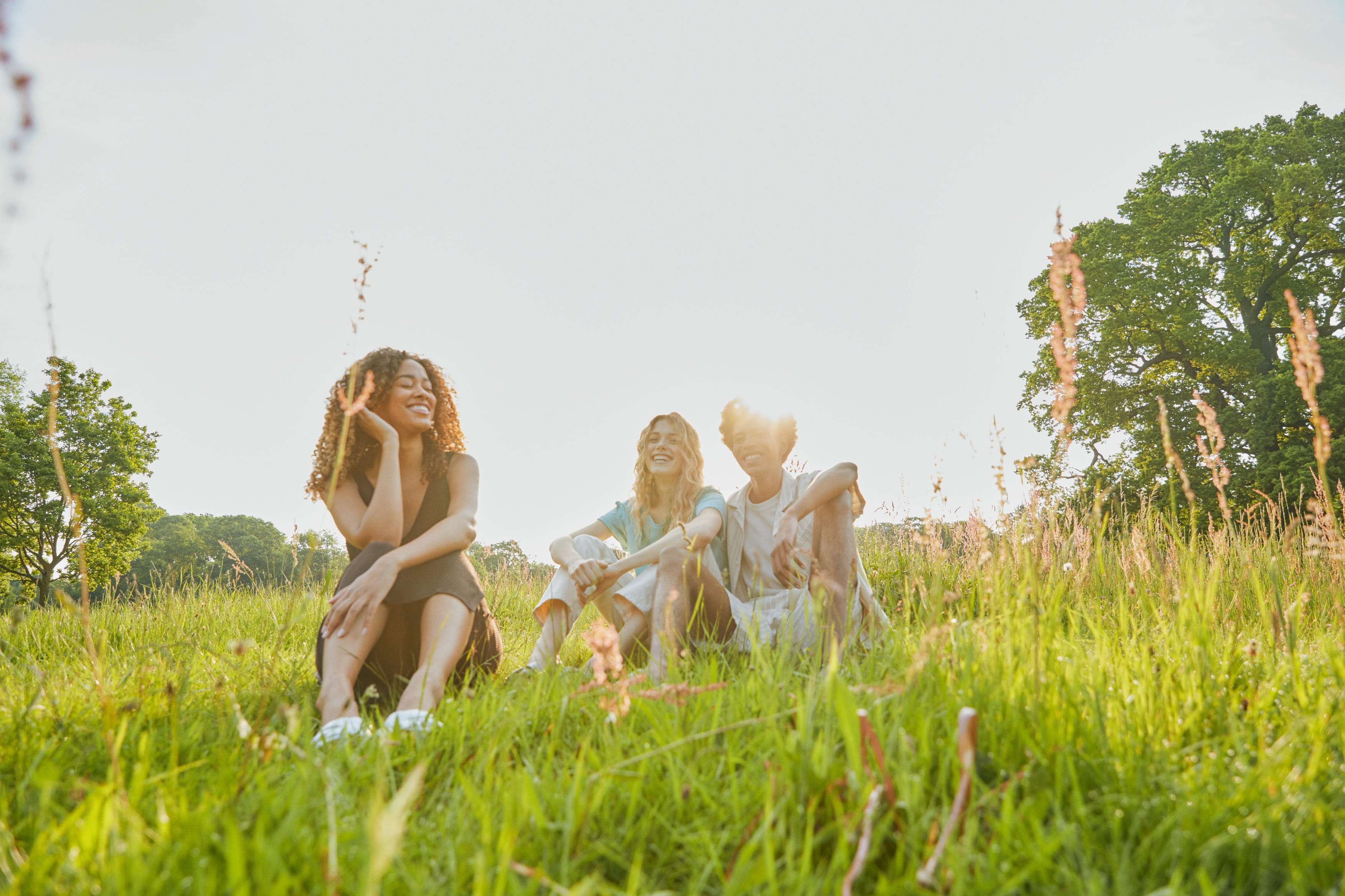 people sitting on grass