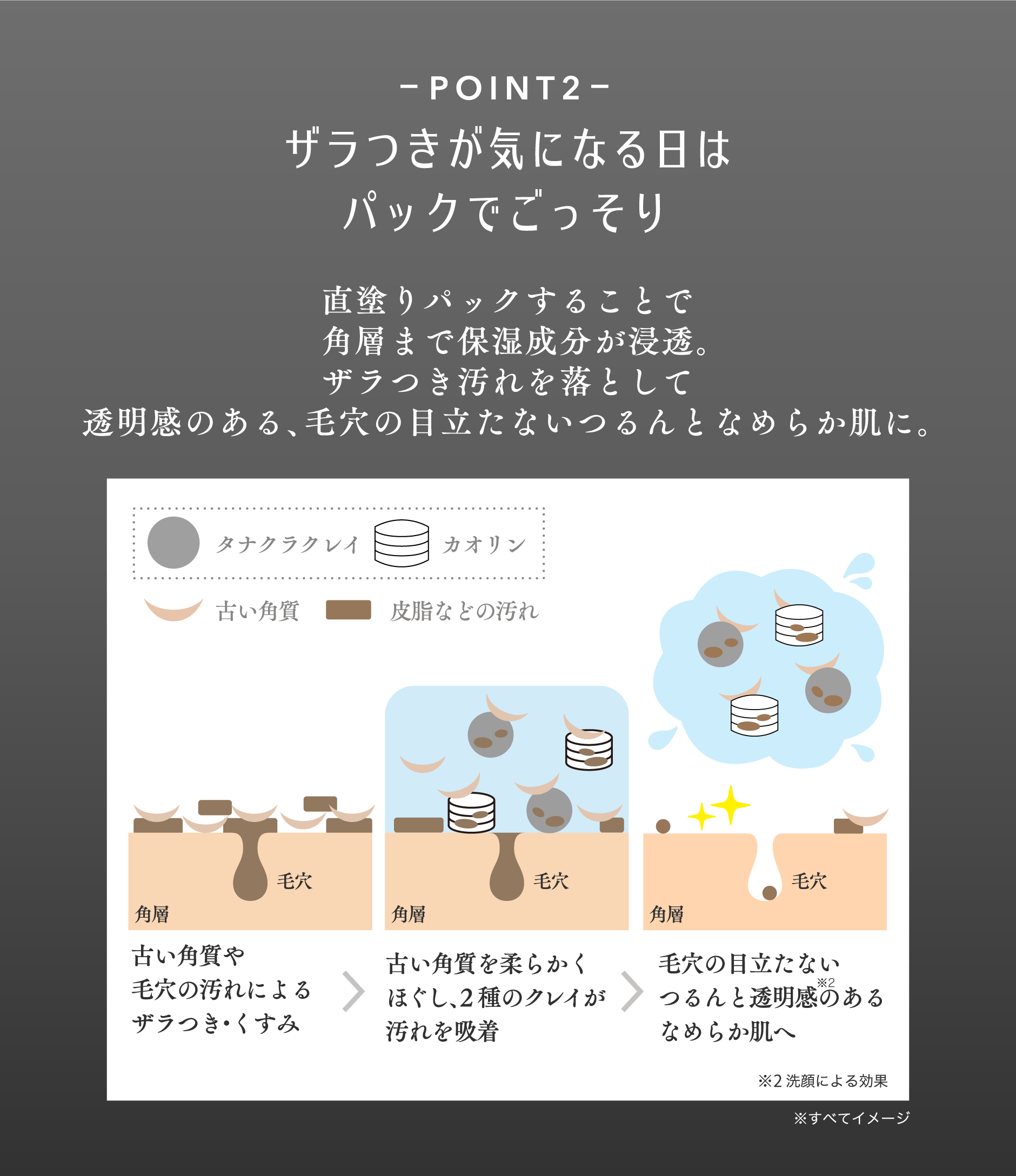 POINT 2） ​  ザラつきが気になる日はパックでごっそり​   リッチホワイトパール保湿成分配合 ※4 ホホバオイル、加水分解コンキオリン ​  （説明文）​   直塗りパックすることで角層まで保湿成分が浸透。 ザラつき汚れを落として毛穴の目立たないつるんとなめらか肌に。 （パック洗浄プロセスの図） ​  （図の凡例） ​  タナクラクレイ カオリン 古い角質 皮脂などの汚れ ​  （ステップ1）​   角層 毛穴 古い角質や毛穴の汚れによるザラつき・くすみ ​  （ステップ2） 角層 毛穴 古い角質を柔らかくほぐし、2種のクレイが汚れを吸着​   （ステップ3） 角層 毛穴 毛穴の目立たないつるんと透明感のあるなめらか肌へ※1 ​  （注釈） ※1 洗顔による効果 ※すべてイメージ​