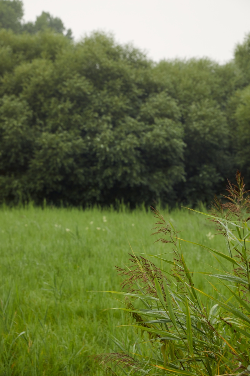 ochrana pokožky & naša transparentnosť 