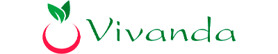 vivanda retailer logo