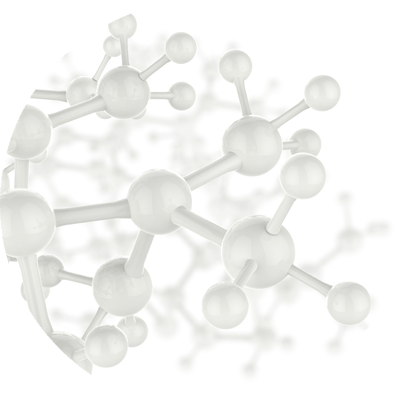 L-Carnitine