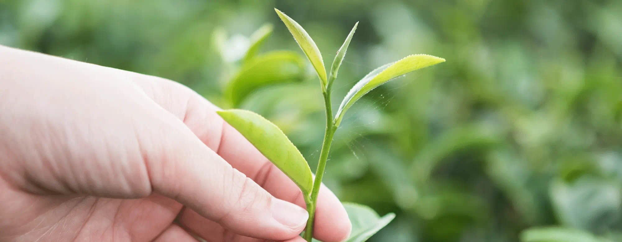 NIVEA Sustainability