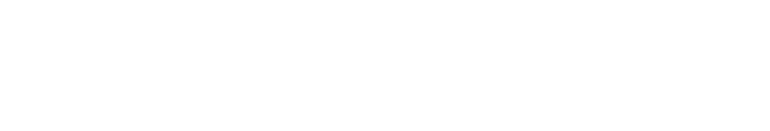 体験内容