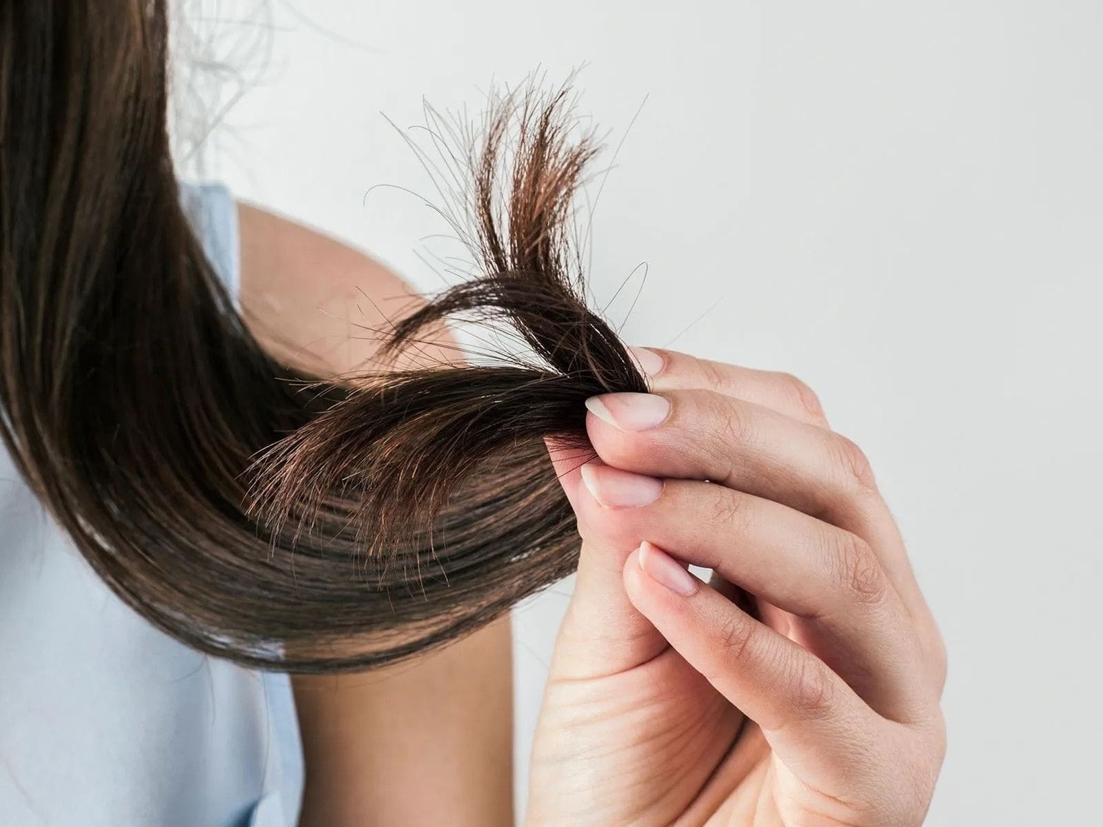 BLOG Artigo 42 - O guia completo sobre aloe vera