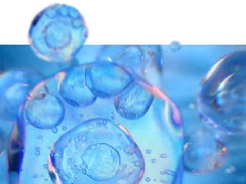 Nourishing Cocoa for all skin types