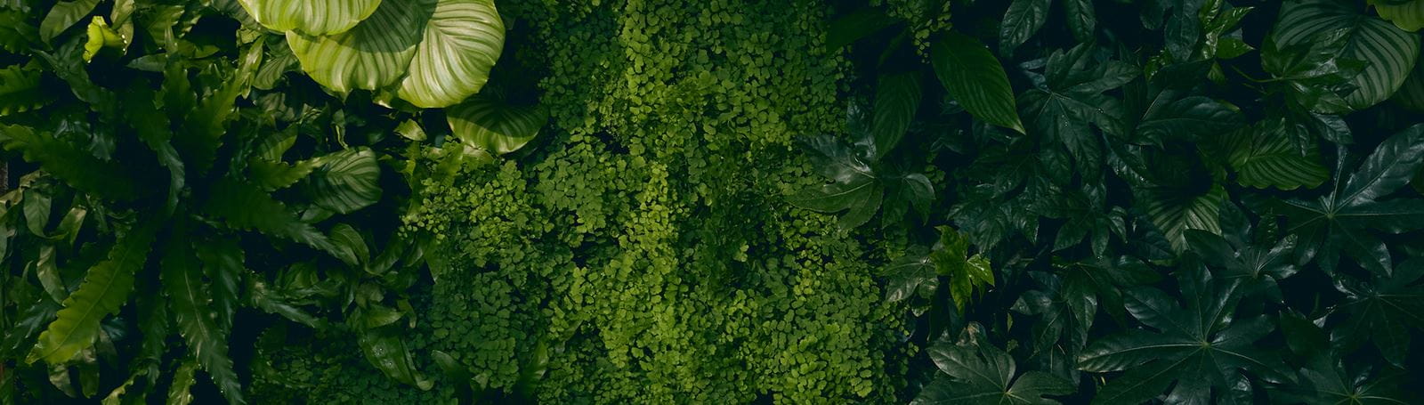 Udržitelnost - Jedna pokožka, jedna planeta, jedna péče