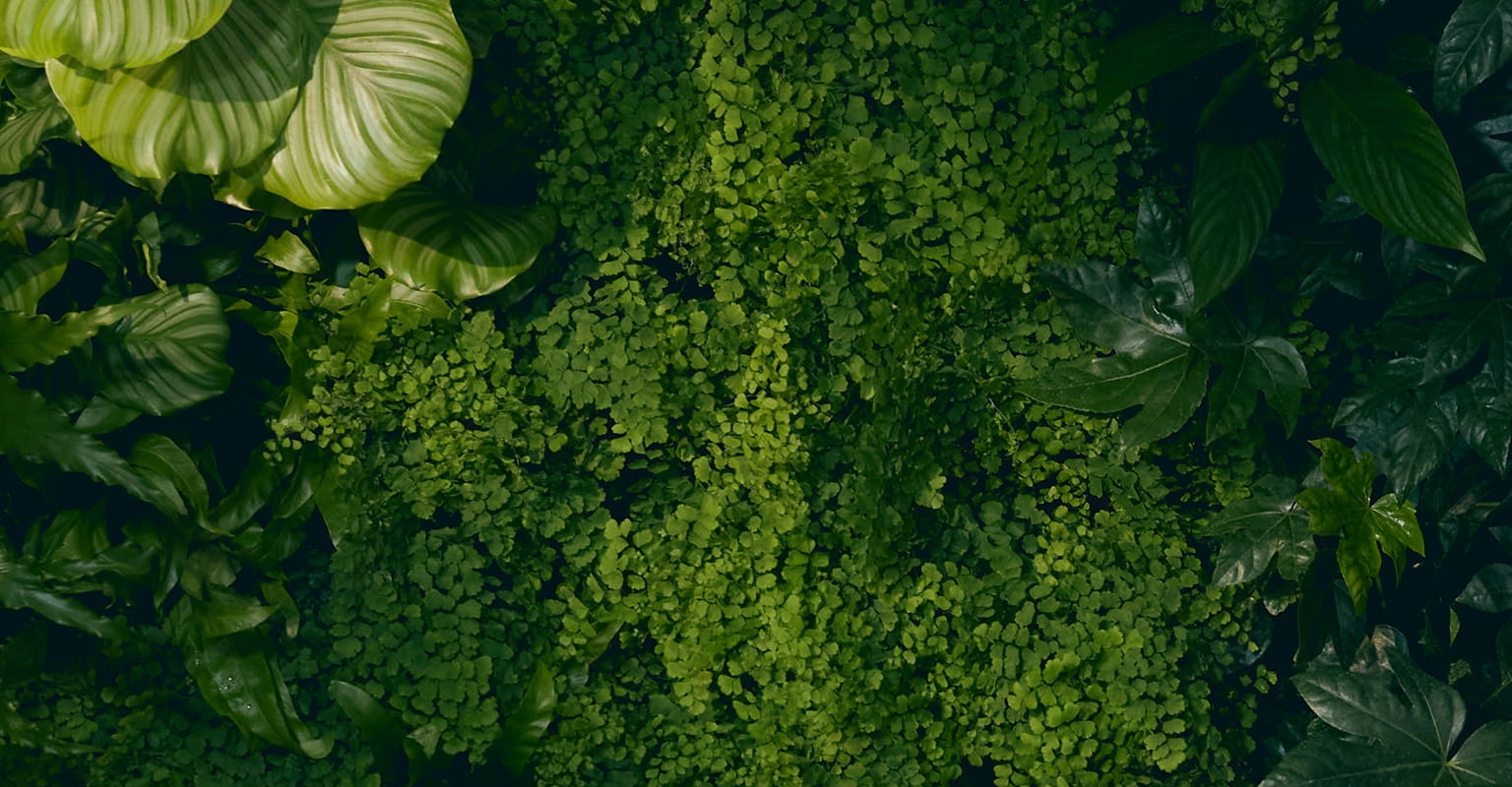 ТУРБОТА ПРО ПЛАНЕТУ З NIVEA