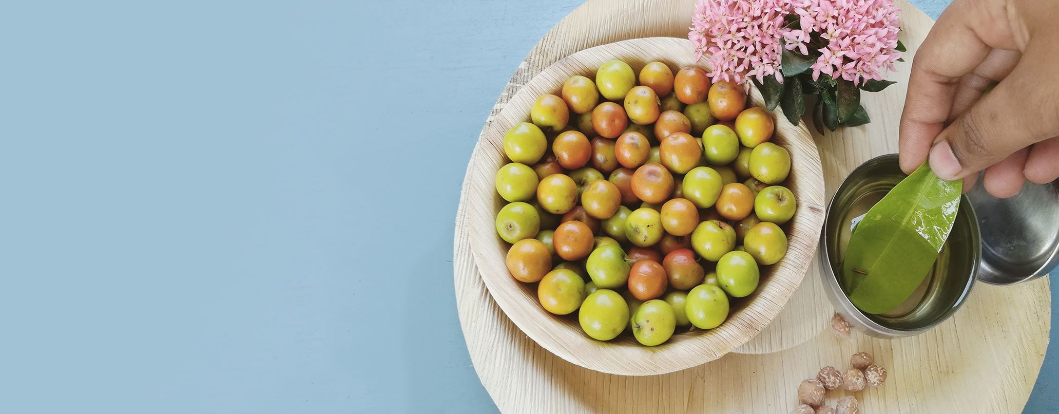 bowl of jojoba oil seeds
