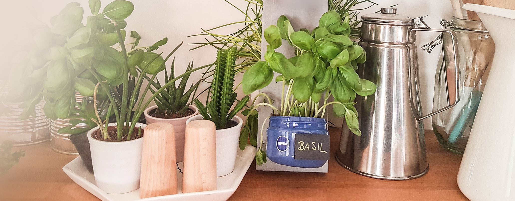 NIVEA_Herbgarden_Header