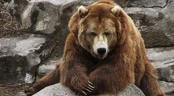 ΑΝΔΡΙΚΗ ΑΠΟΤΡΙΧΩΣΗ: ΤΟΛΜΗΣΕ ΤΟ