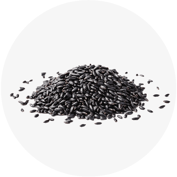 Black Rice