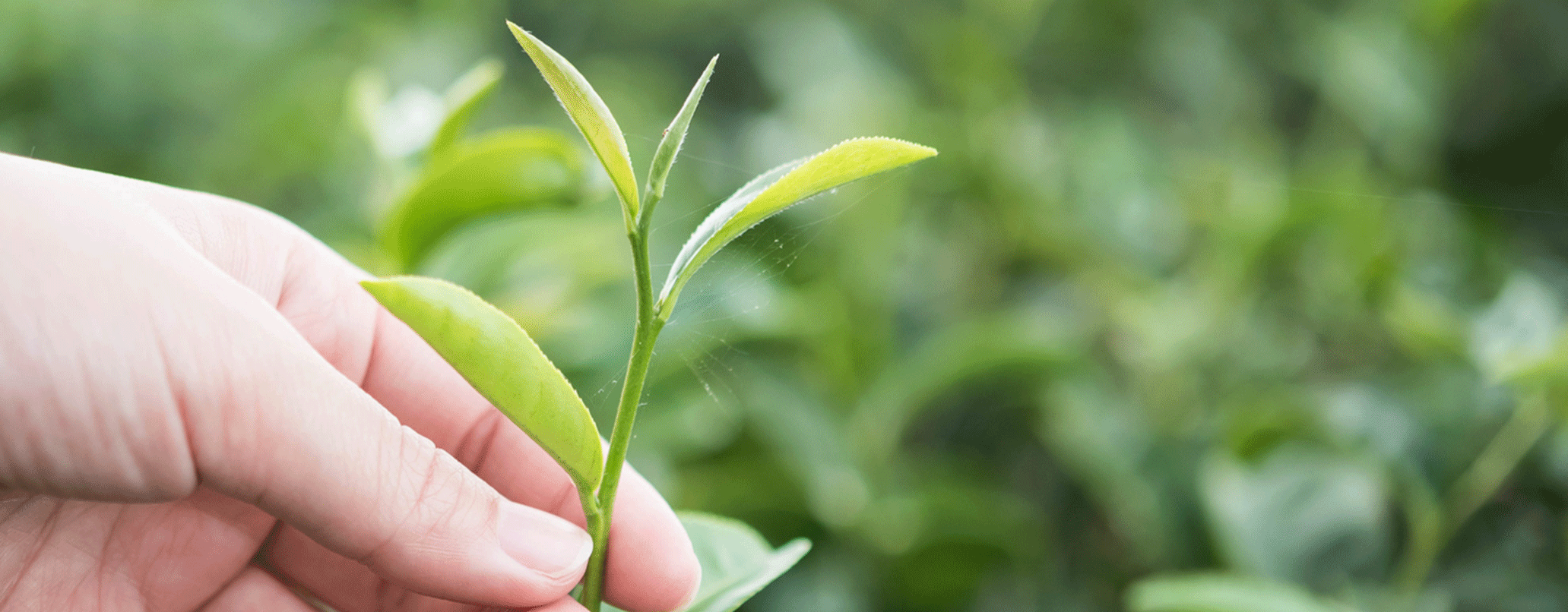 NIVEA-мен ғаламшарға қамқор болу