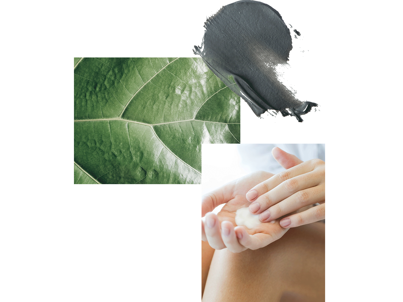 leaf-close-up-person-applying-cream