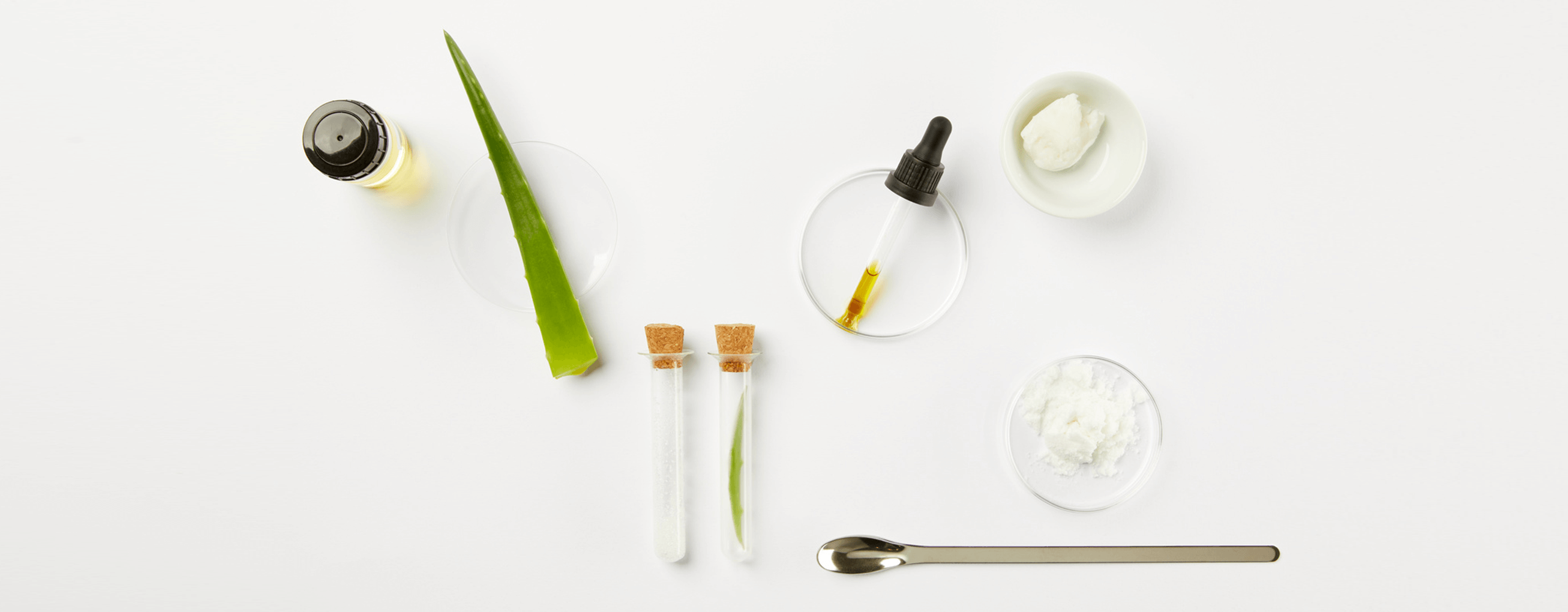 Aloe Vera y sus usos cosméticos