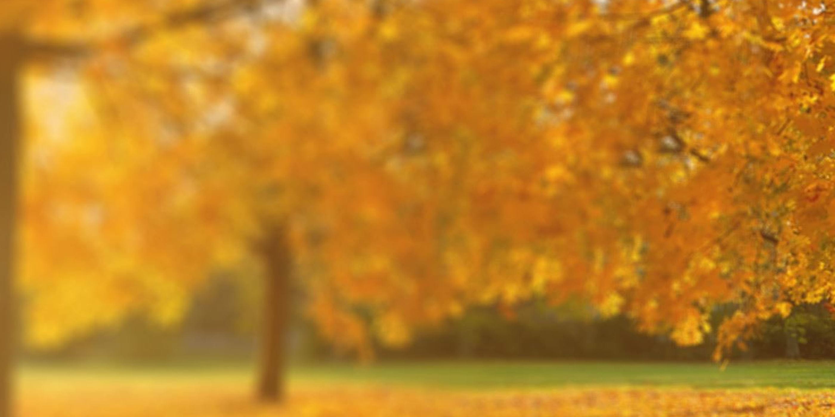 Schöne Haut im Herbst