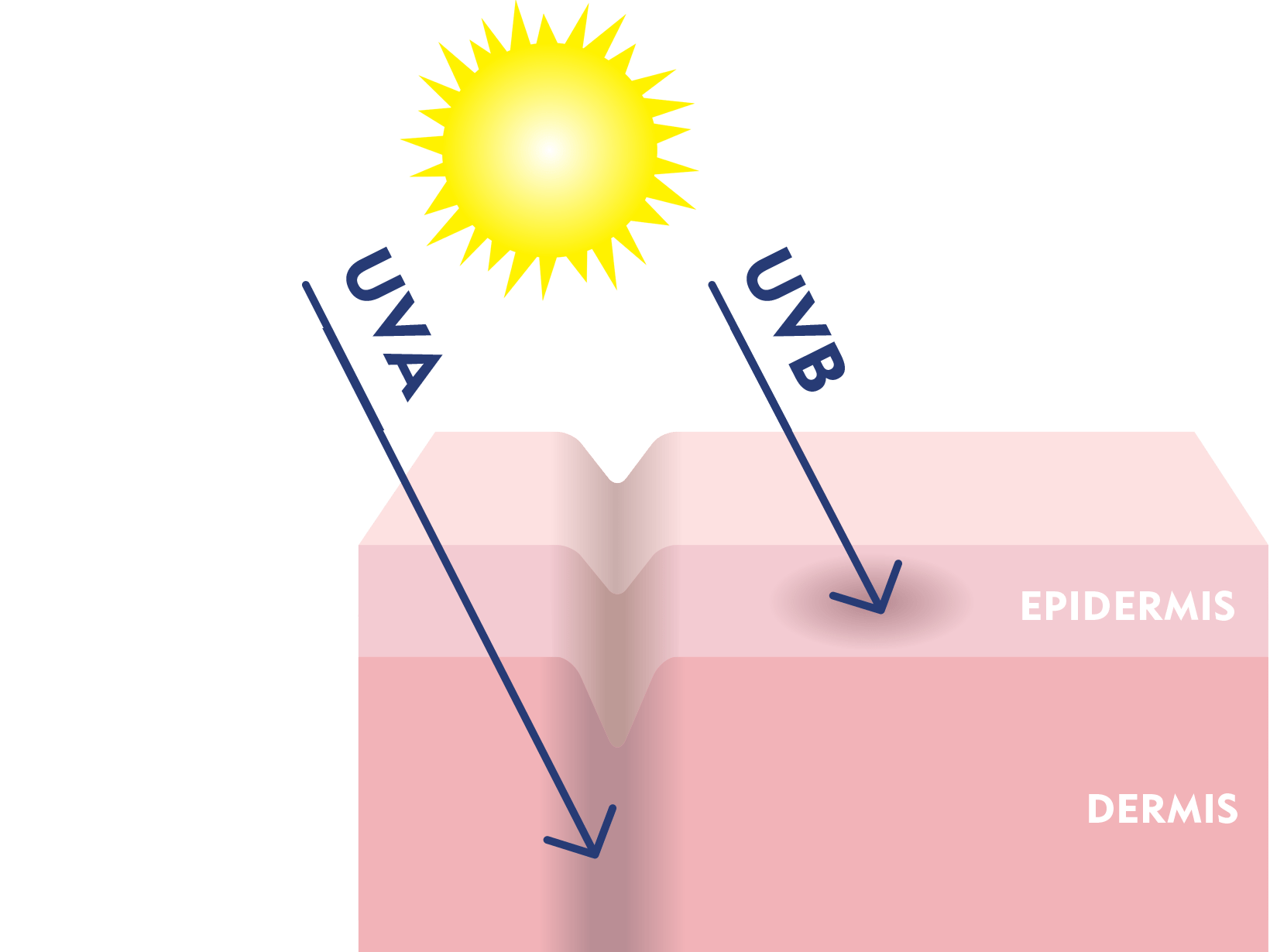 UVA und UVB