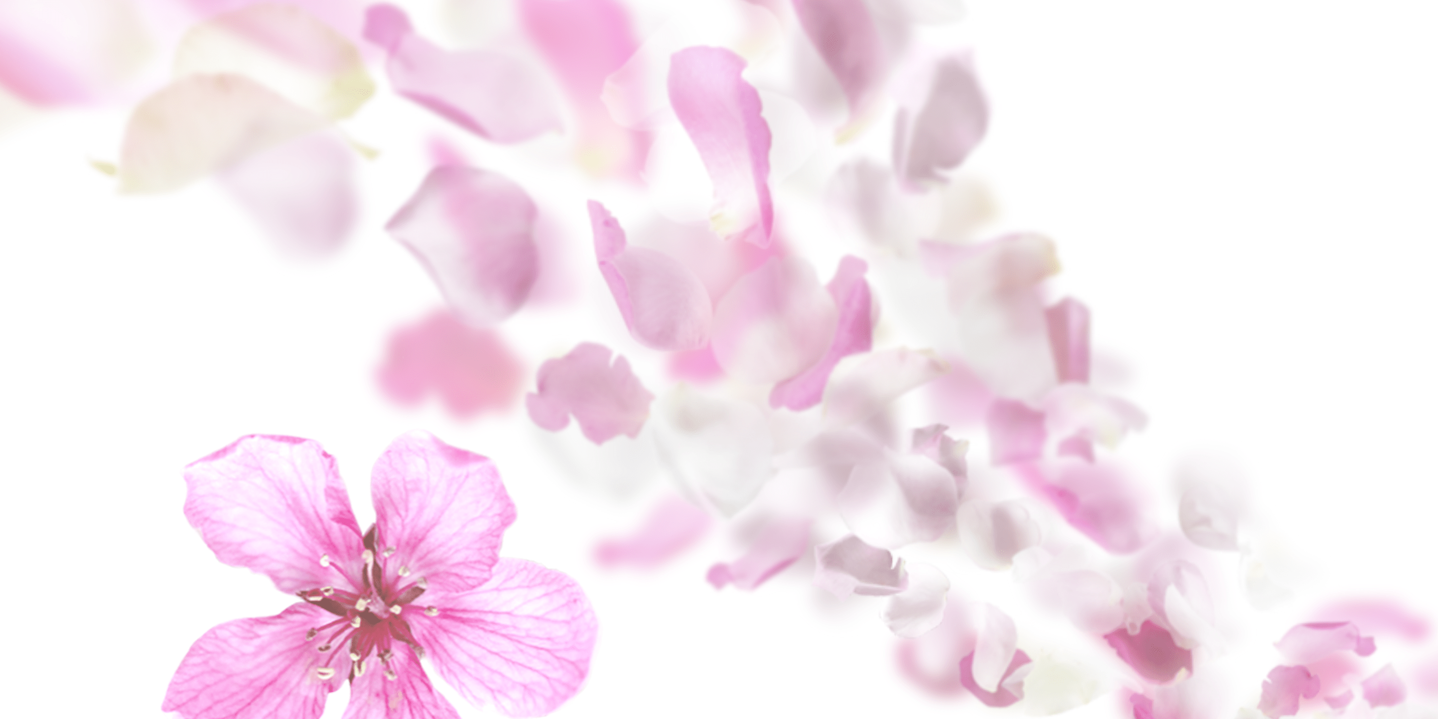 NIVEA Oil in Lotion Product Stage Hintergrund