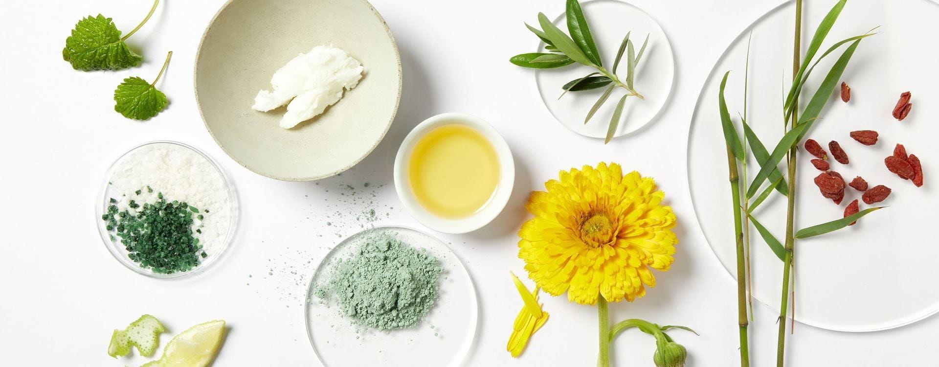 appreciating nature with vegan skincare 