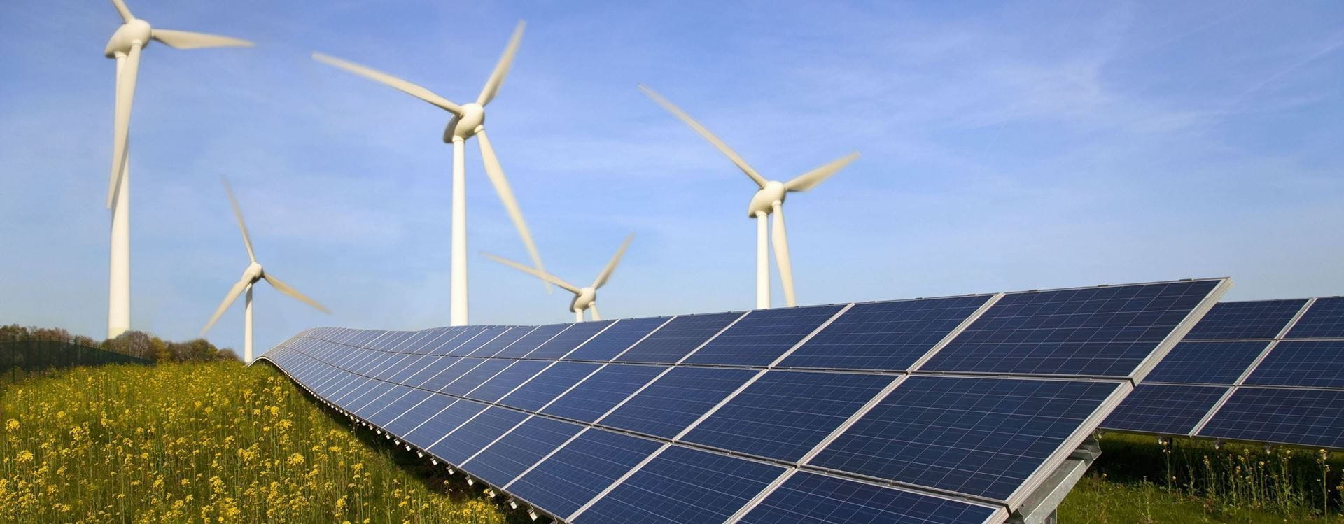 hands holding in a field of long grass