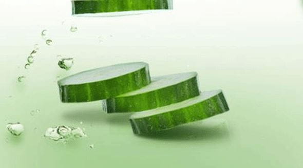 Ingredient - Cucumber Extracts