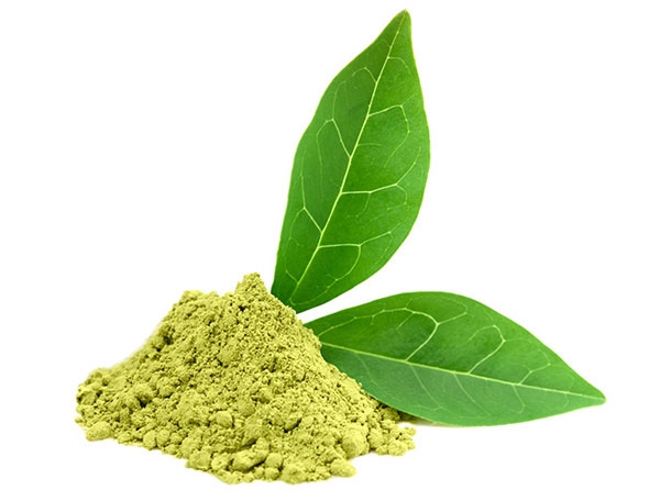green tea extract