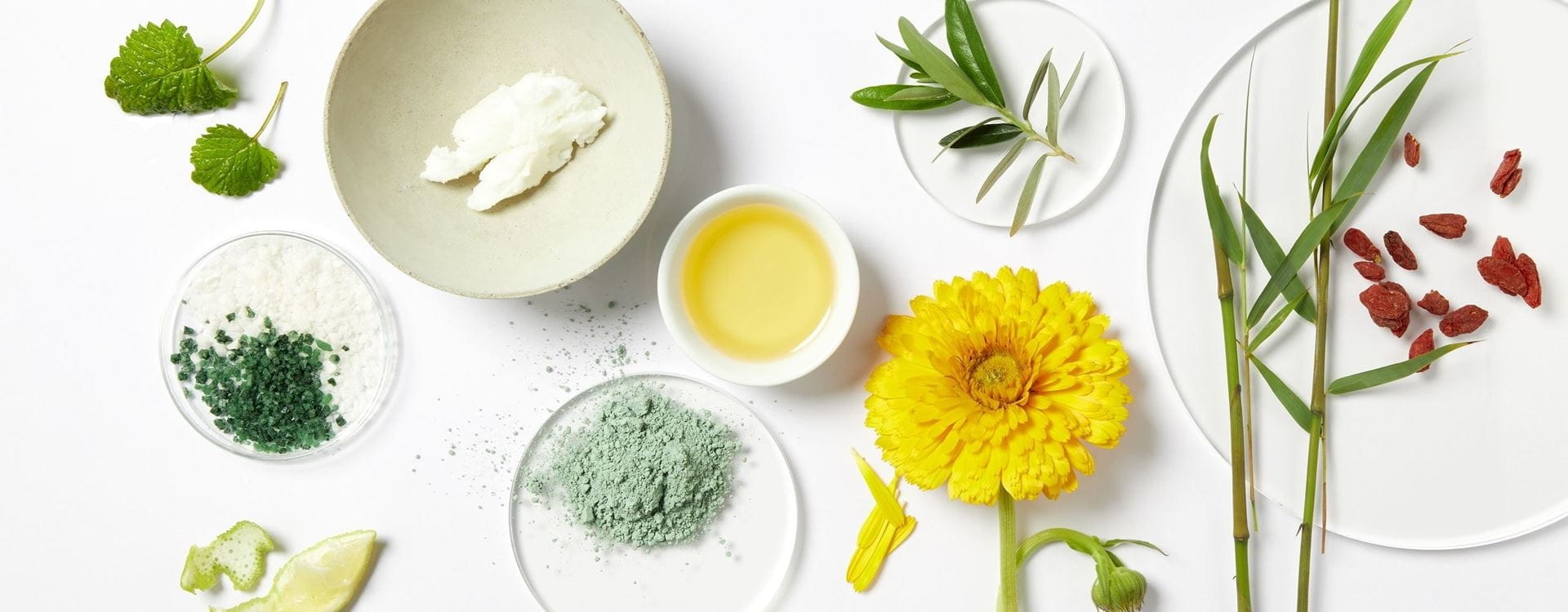 РЕЧНИК НА СЪСТАВКИТЕ, списък със съставки