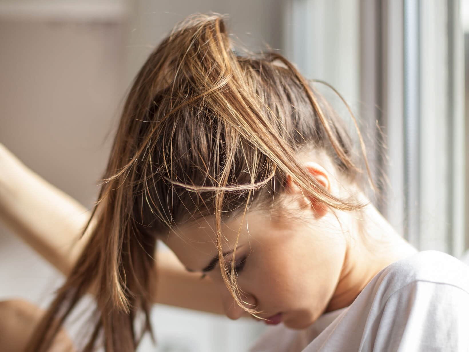 Le palmier pour les cheveux gras