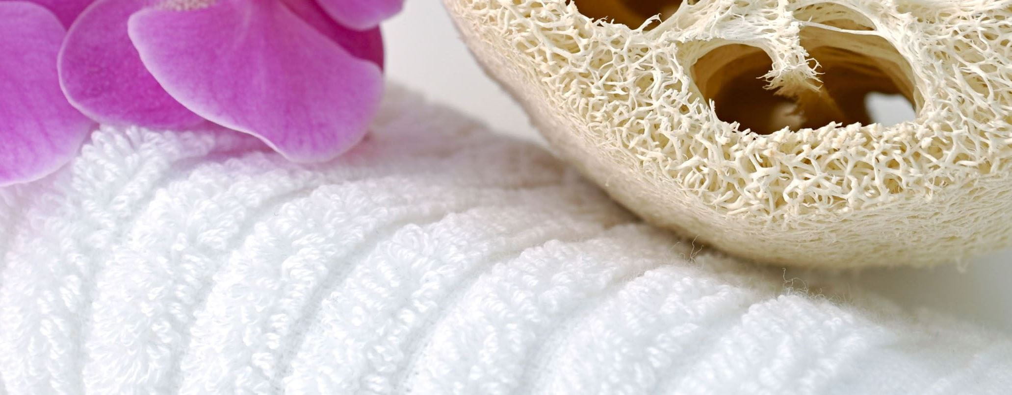 Luffa: utilisation et conseils pour les soins corporels