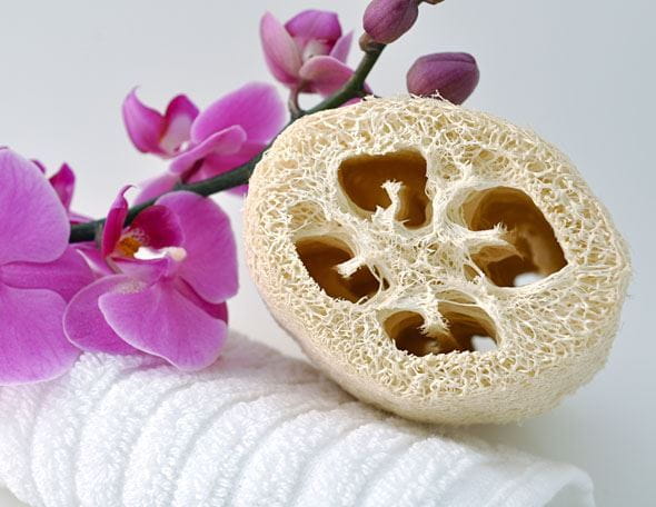 Luffa: utilisation et conseils pour les soins corporels