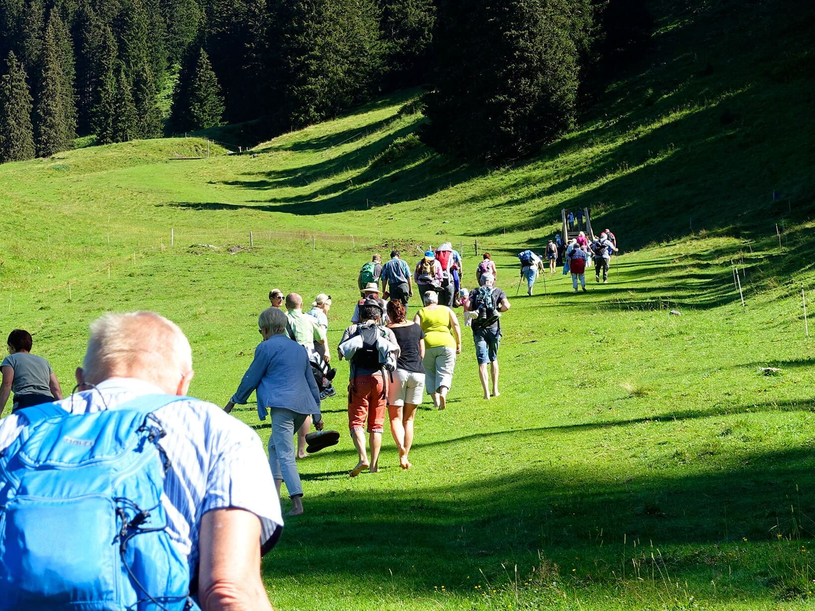 Fakten zum nationalen Wandertag 2016