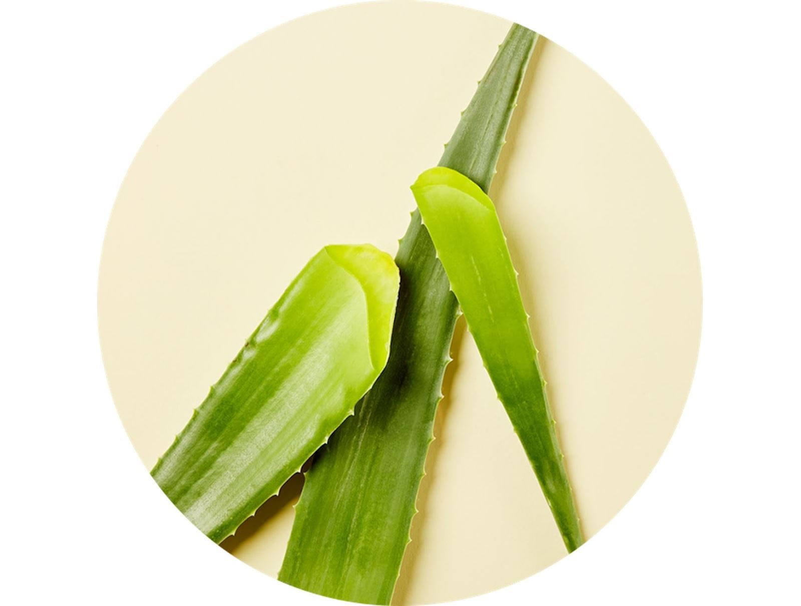 BIO ALOE VERA 