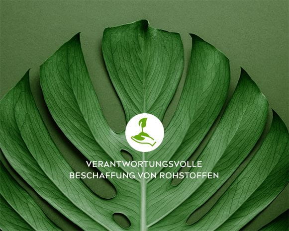 sustainability