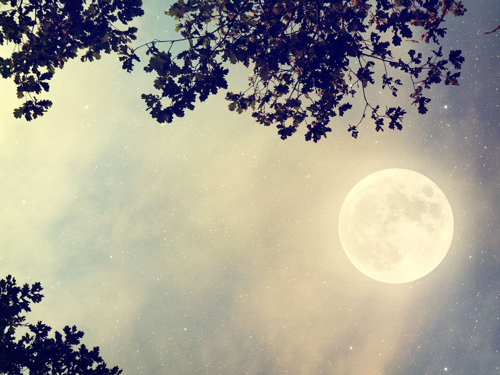Magická síla měsíce