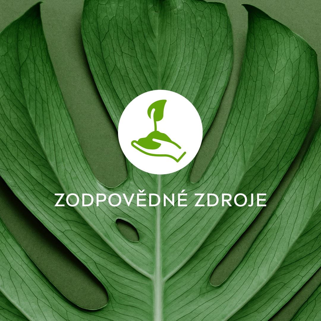 zodpovědné zdroje
